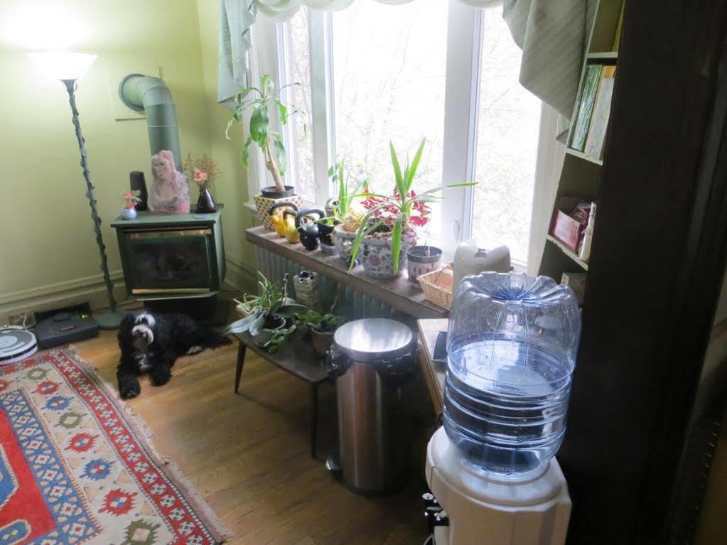 ดาวน์ทาวน์ เบด แอนด์ เบรคฟาสต์ Bed & Breakfast ออตตาวา ภายนอก รูปภาพ
